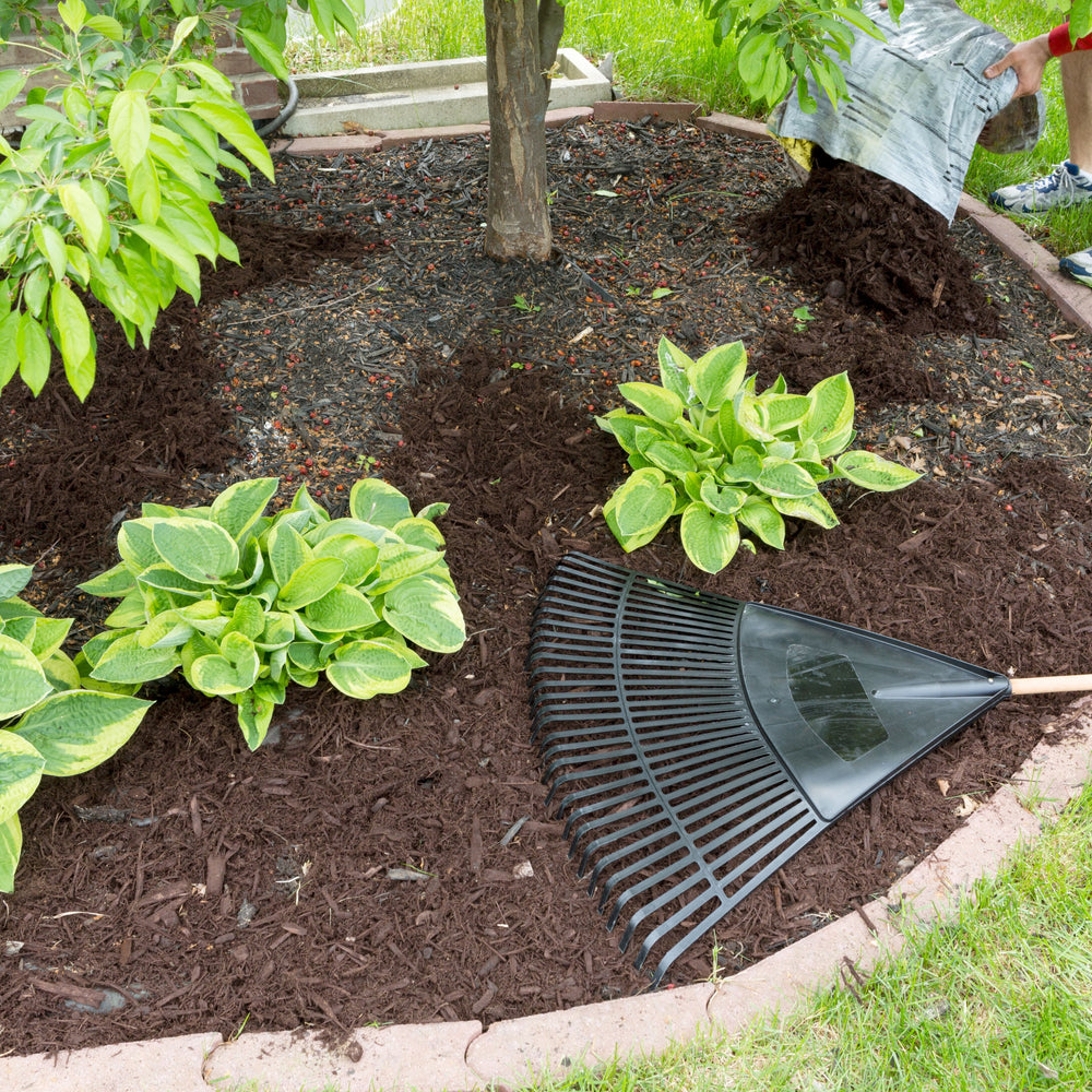 DIY Homeowner Landscaping: Transform Your Yard on a Budget