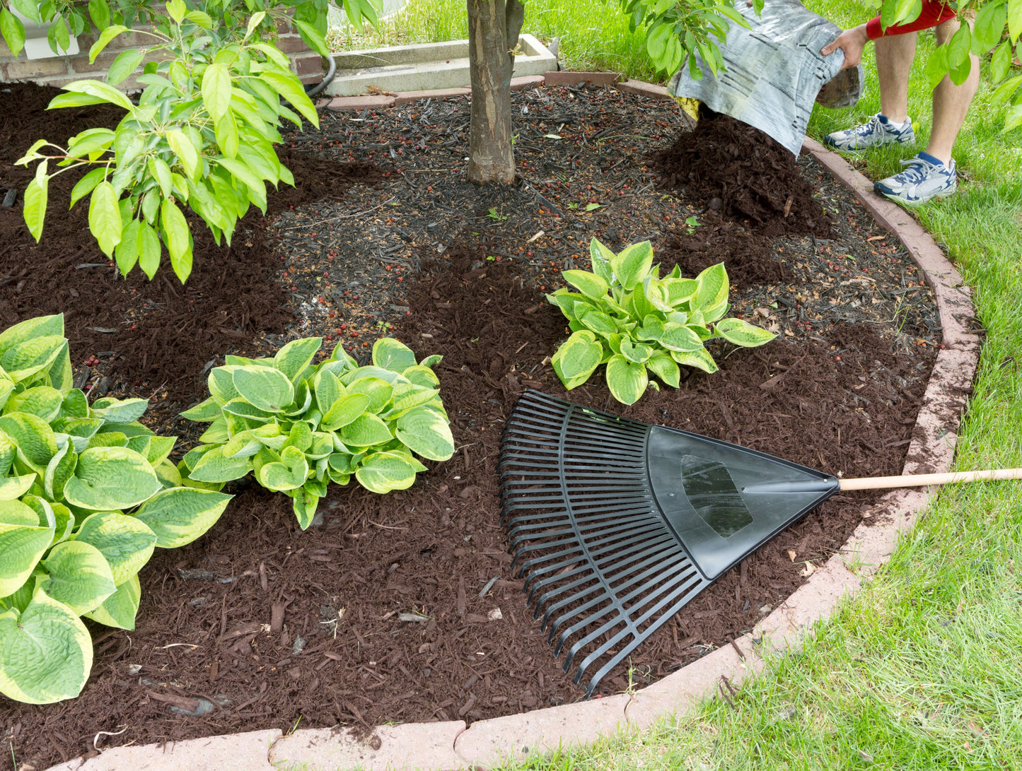 DIY Homeowner Landscaping: Transform Your Yard on a Budget