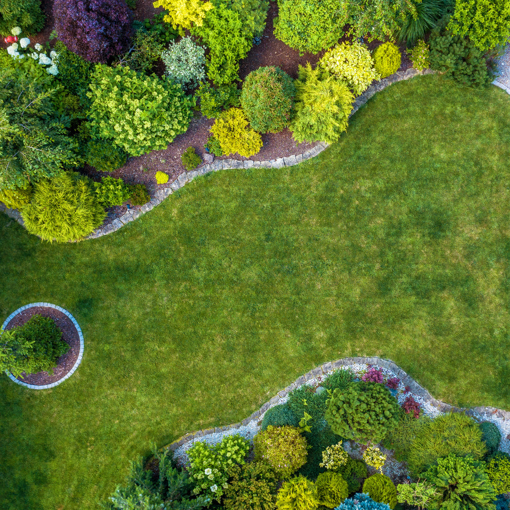 Unlocking the Secrets to a Lush Landscape: A Homeowner's Guide